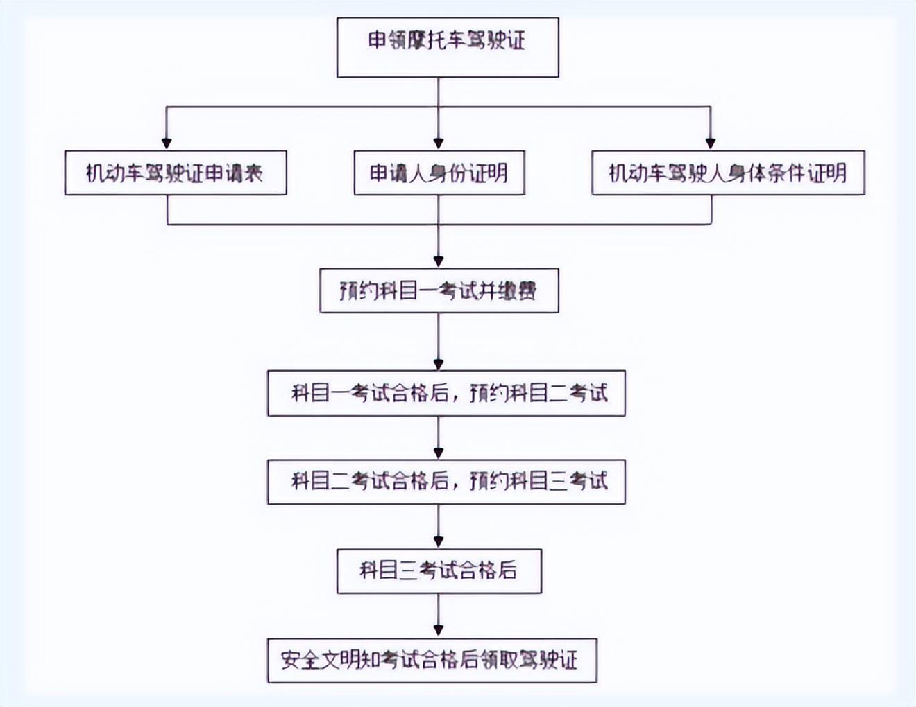 最新增驾表，驾驶技能的进阶之路概览