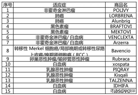 Lor最新版独特魅力与特点解析