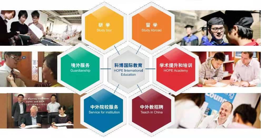 全球最新数据揭示全球趋势与未来机遇洞察