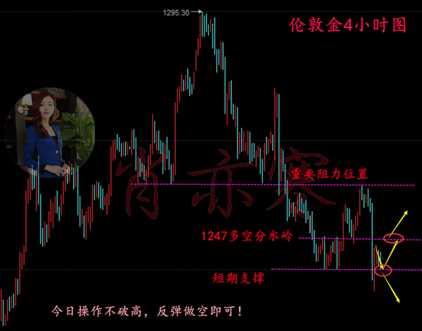 今晚必出三肖,快速执行方案解答_Gold96.862