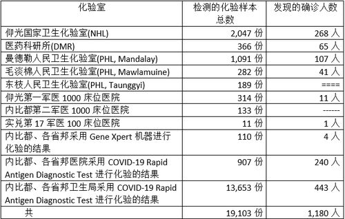 全球共同应对疫情挑战，最新确诊死亡人数引发严峻关注