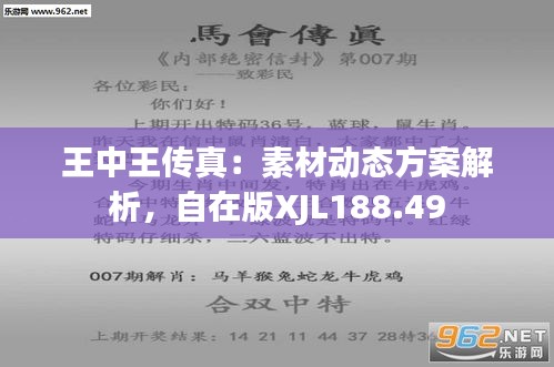 7777788888王中王传真,专业解析说明_移动版11.29