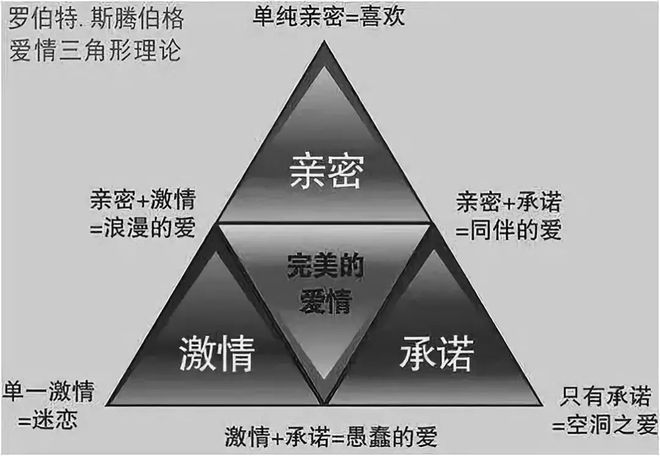 新澳天天开奖资料大全三中三,理论依据解释定义_WP16.818