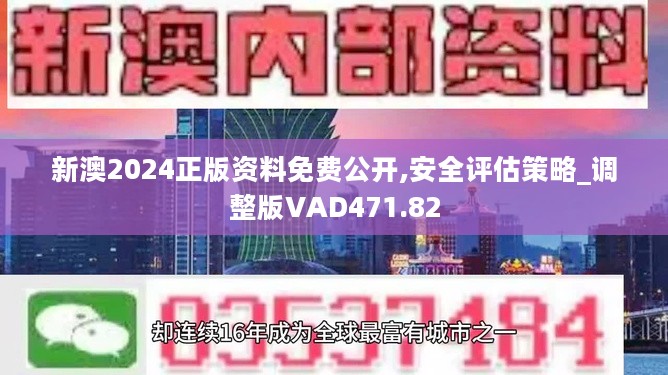 2024新澳门正版免费资料,灵活操作方案设计_动态版11.135