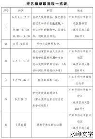 2024年新澳门今晚开奖结果查询表,深层策略设计解析_视频版66.708