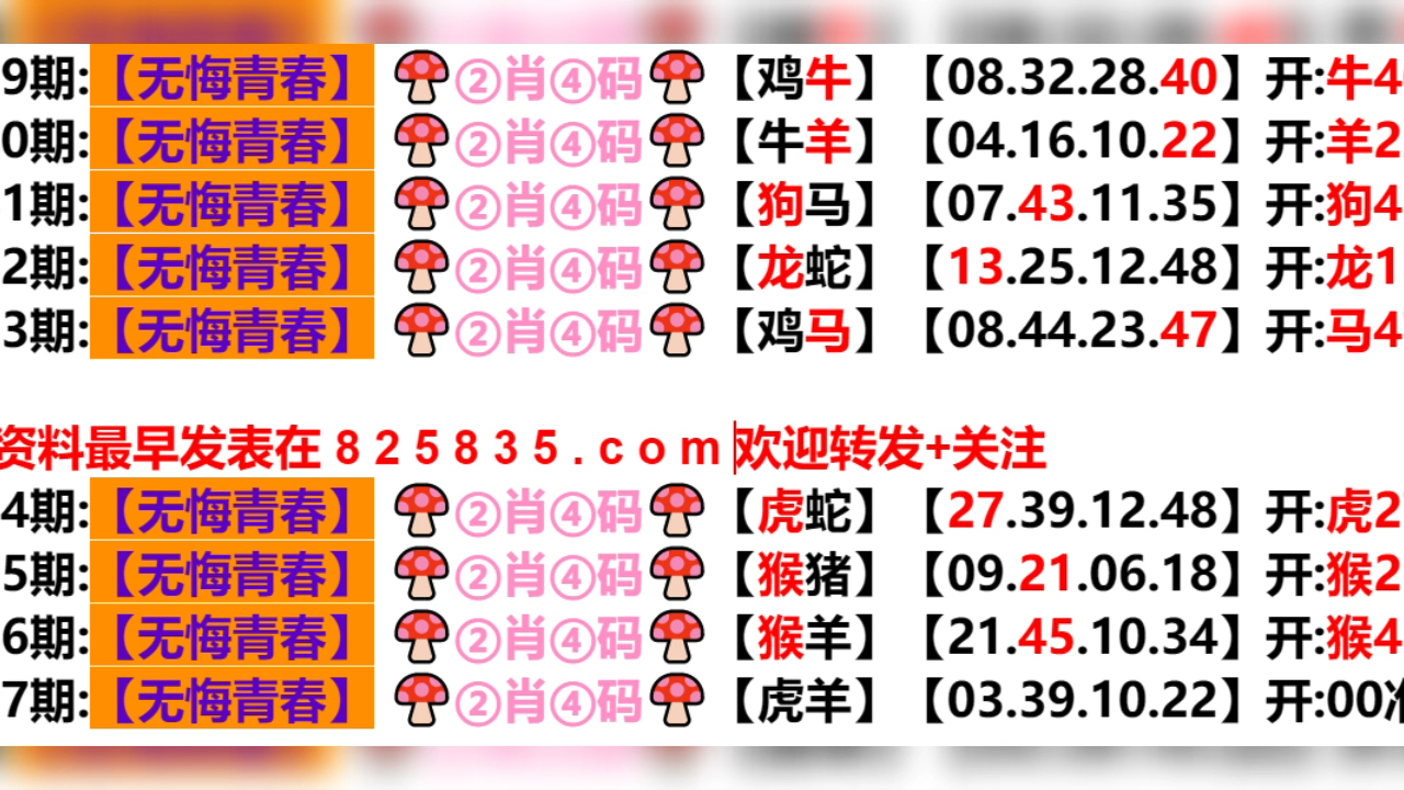 2024年12月6日 第63页