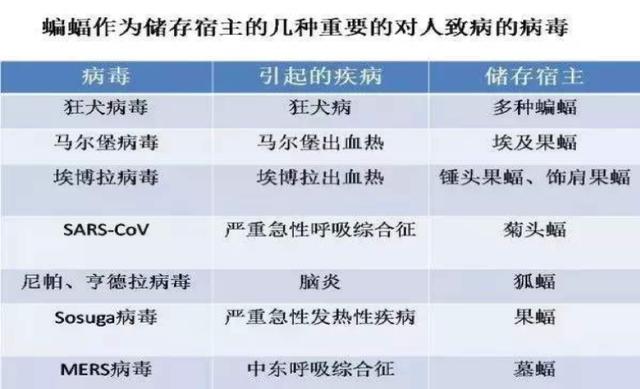 香港二四六开奖结果十开奖记录4,权威诠释推进方式_精简版105.220