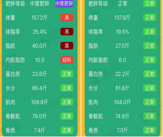 2024年12月10日 第28页