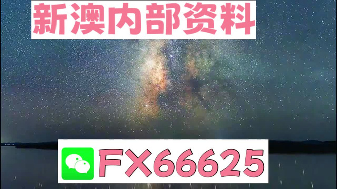 2024新澳天天彩资料大全,实地数据验证策略_视频版19.573