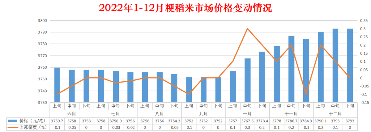 2024年12月12日 第49页