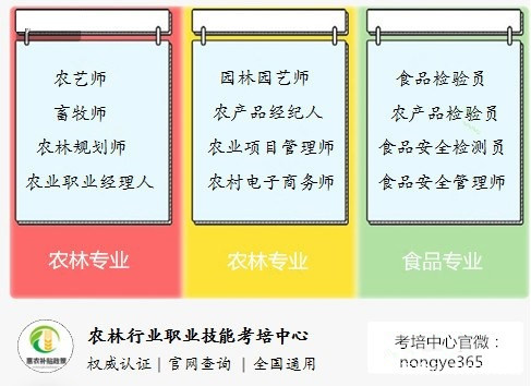 一码一肖100%精准一一,高效计划实施解析_WP版33.252