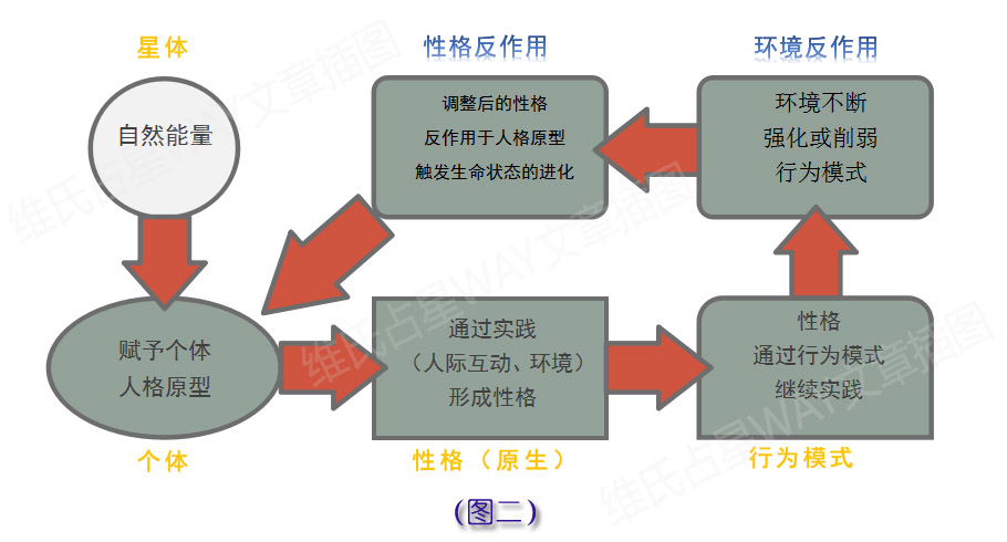 今晚澳门必中24码,完善的执行机制分析_豪华款63.674