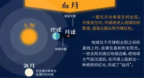 2024年新澳门今晚开什么,实地评估策略_Mixed50.362