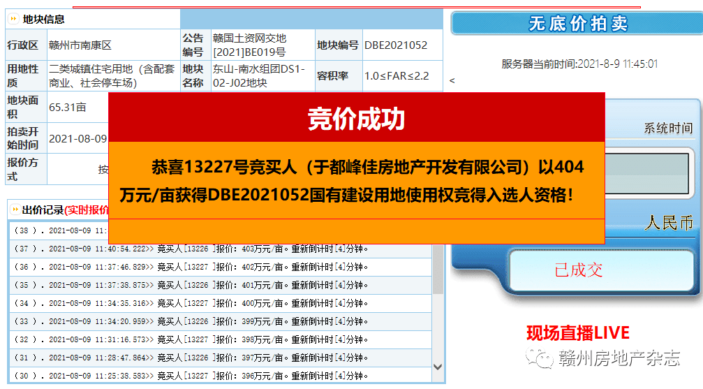 2024年12月13日 第11页