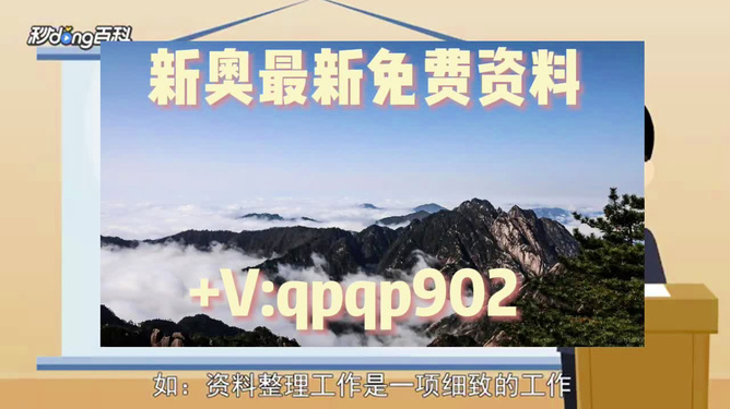 2024新奥正版资料最精准免费大全,仿真技术实现_VIP50.474