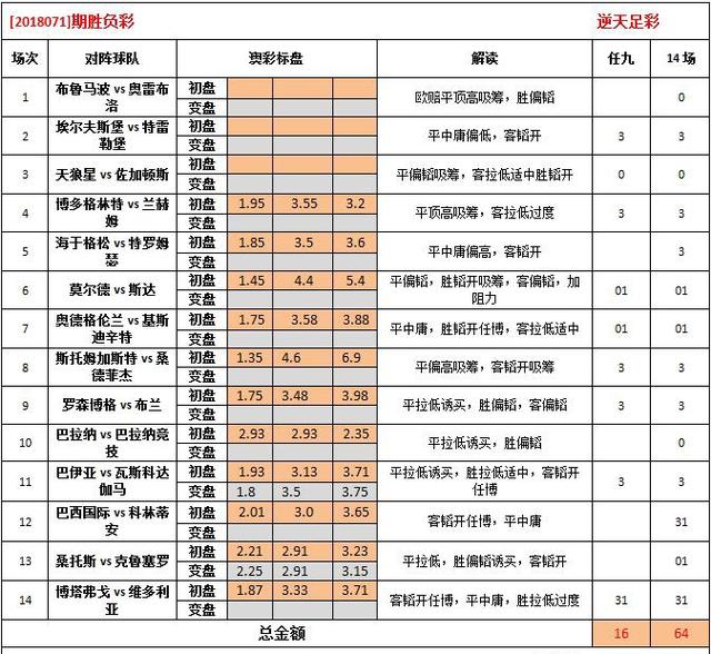 2024年12月16日 第49页