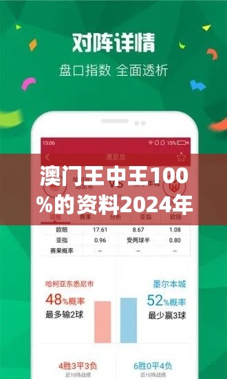 2024年新澳门王中王免费,全面设计执行方案_Ultra13.595