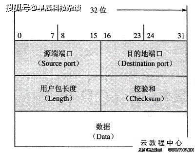 2024年12月17日 第26页