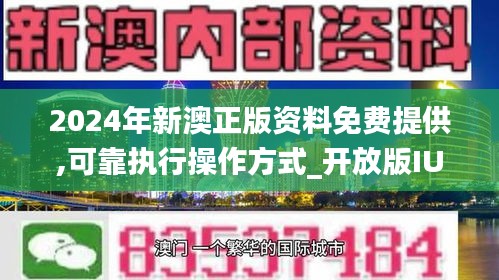 2024新澳正版免费资料,稳定执行计划_交互版4.688