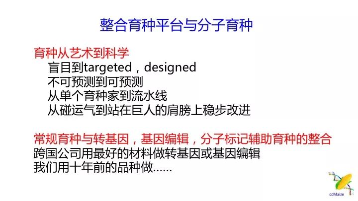 新澳门内部资料精准一肖一特,快速响应执行方案_挑战款57.696