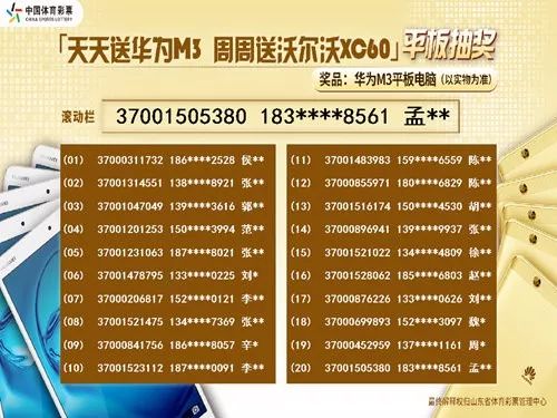 2024澳门天天开彩正版免费资料,正确解答落实_S41.770