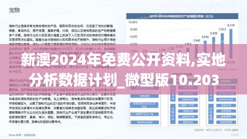 新澳2024年最新版资料,深入数据解释定义_纪念版73.833