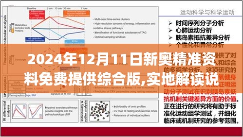 2024新瑰精准正版资料,稳定评估计划_基础版16.685