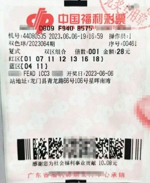 20024新澳天天开好彩大全160期,灵活解析设计_标配版45.696