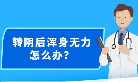 新澳精准资料免费提供网站有哪些,资源整合实施_8K87.391