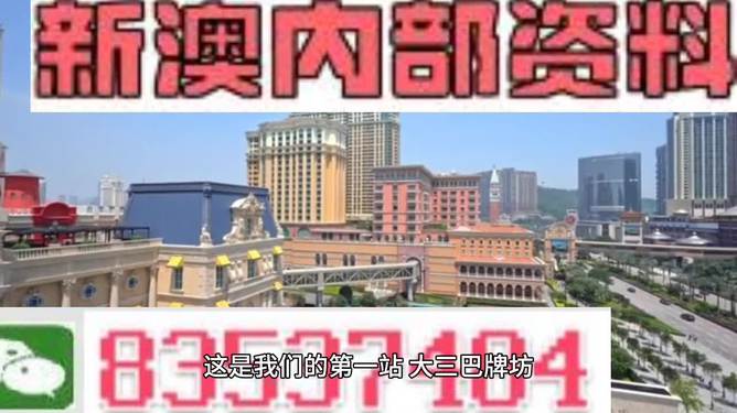 2024澳门精准正版,实践说明解析_战略版87.336