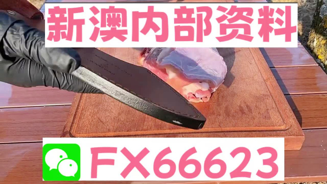 新澳资料正版免费资料,动态解析说明_2DM91.378