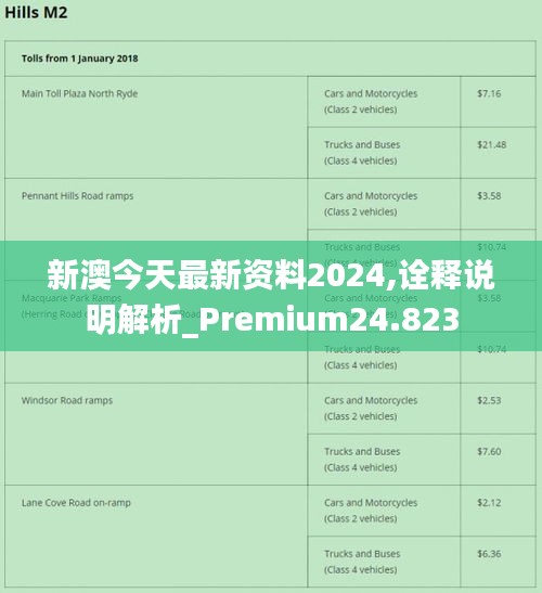 2024新澳正版免费资料,专业执行问题_Kindle43.389