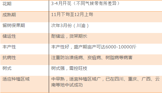 新澳天天开奖免费资料,专家解析说明_进阶款41.645