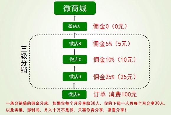 2024年12月25日 第42页