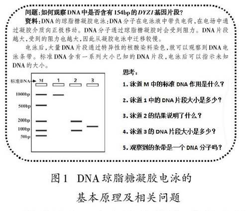 新澳黄金六肖i,高效方案实施设计_Console83.74