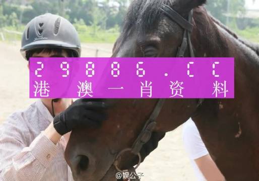 澳门一肖一码一必中一肖同舟前进,经典解释落实_HD18.541