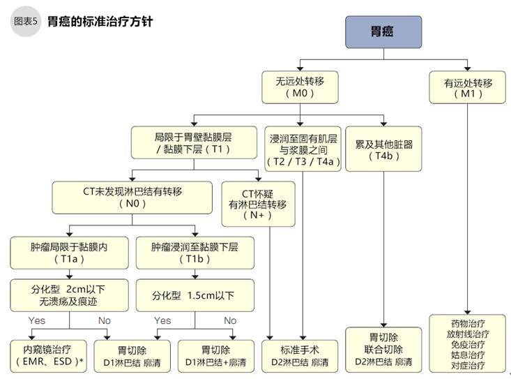 胃癌晚期最新治疗方案，希望与挑战的并存之路