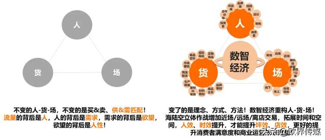 一码一肖100%精准一一,数据分析驱动决策_户外版52.682