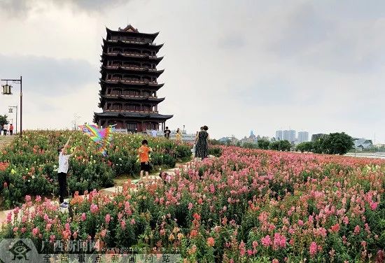 玉林园博园展现新面貌，生态魅力与人文风采的璀璨融合