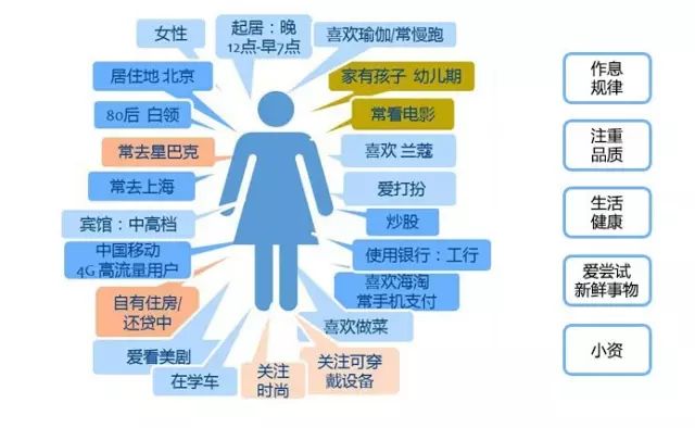 2024正版资料免费公开,深层数据执行设计_SP56.656