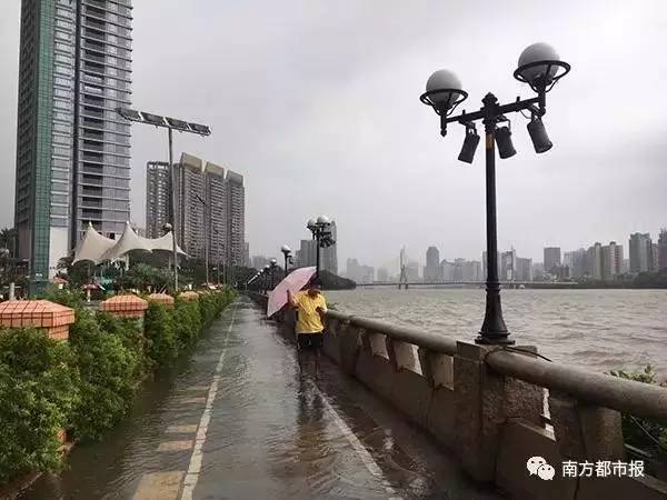 广州天鸽台风最新动态，影响及应对指南