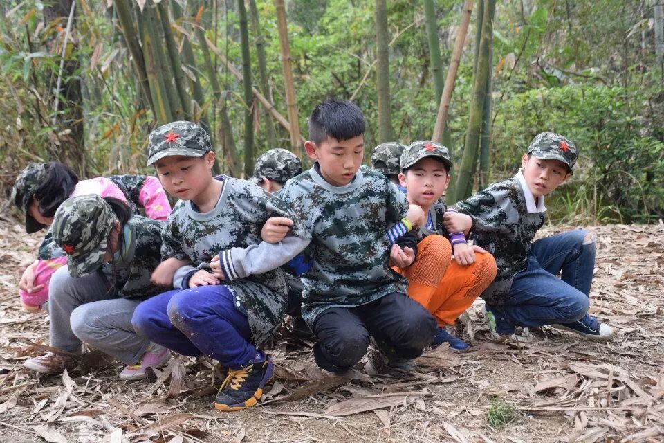 现代战争全景展示，野战图片揭秘独特魅力与战略战术深度解读