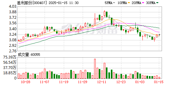 胜利股份最新收购动态，引人注目的资本运作事件