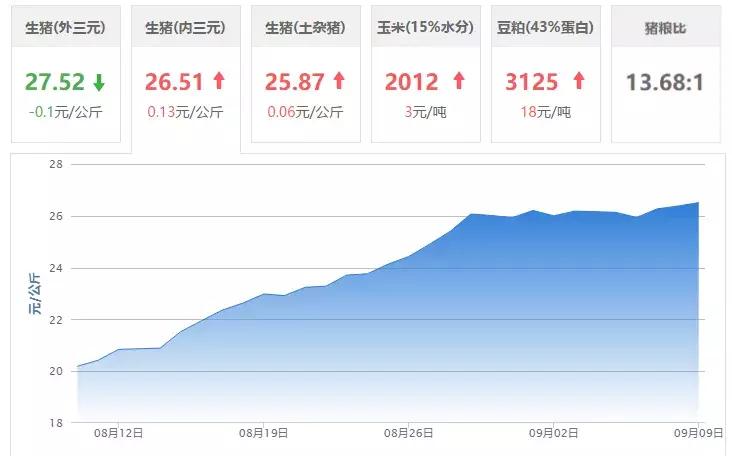 冯冯永辉最新分析，猪价走势与影响因素探讨