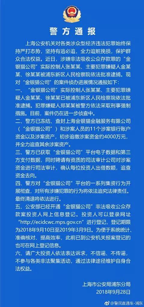 金银猫最新动态，引领数字资产创新与发展风潮